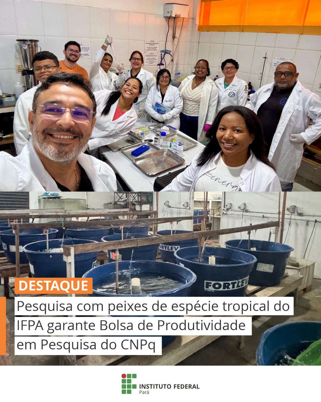 imagem sem descrição.